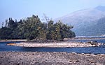 loch-awe-IX-s.jpg - 5283 Bytes